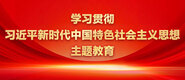 嗯啊嗯啊嗯啊用力操视频学习贯彻习近平新时代中国特色社会主义思想主题教育_fororder_ad-371X160(2)